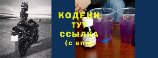 хмурый Заводоуковск