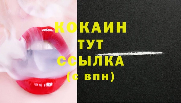 амф Нижний Тагил