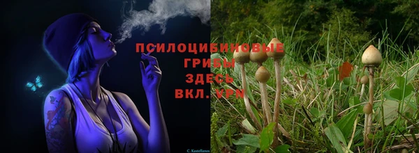 соль ск Заволжск