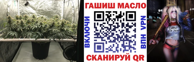 где найти   Макаров  Дистиллят ТГК концентрат 
